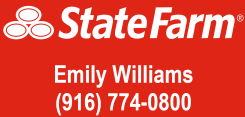 Emily Williams State Farm Insurance Agent